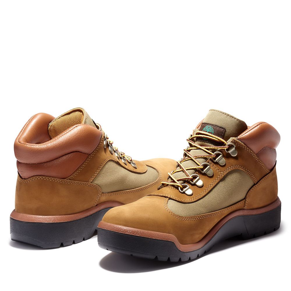 Tenisi Timberland Barbati Maro - Waterproof Field Boots - Romania - QSAWUG132